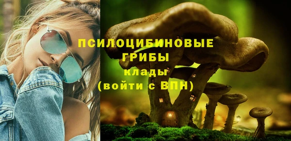 экстази Медвежьегорск