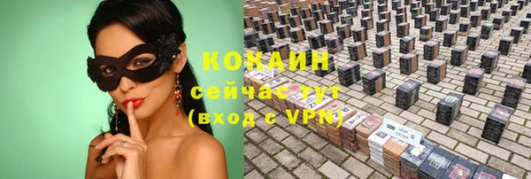 дживик Липки