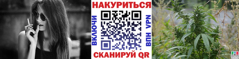 Бошки марихуана планчик  где найти   Поворино 