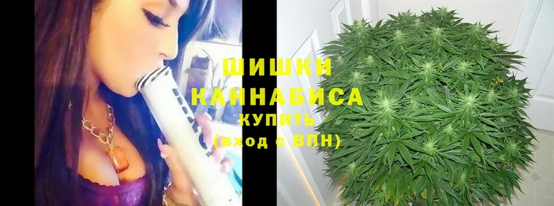 купить   Поворино  Шишки марихуана SATIVA & INDICA 